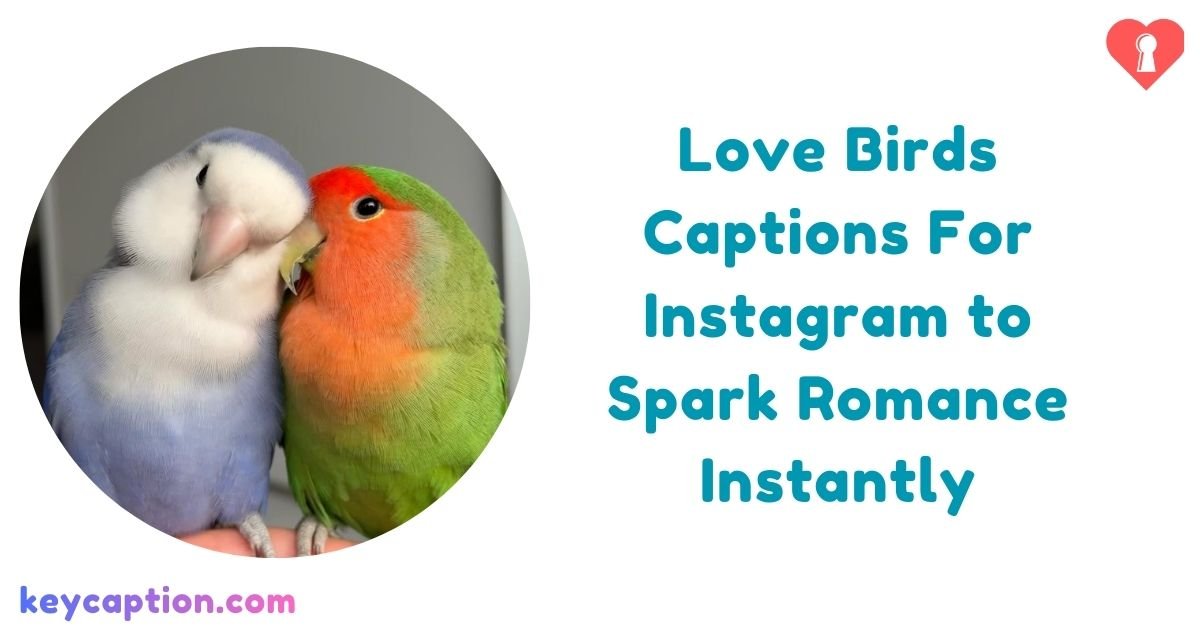 Love Birds Captions For Instagram