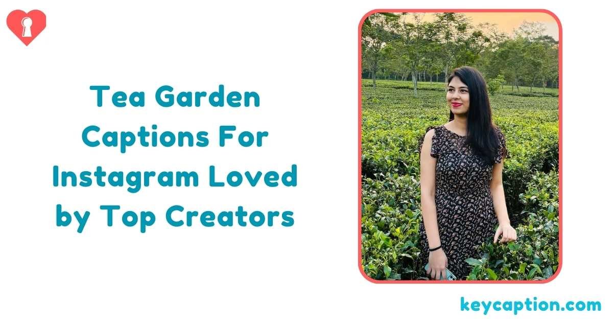 Tea Garden Captions For Instagram